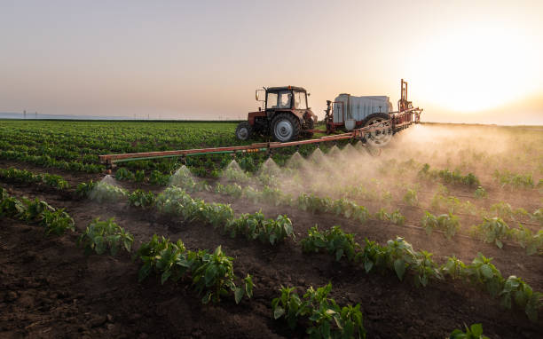 Best Commercial Pest Control Services  in Washington, IL