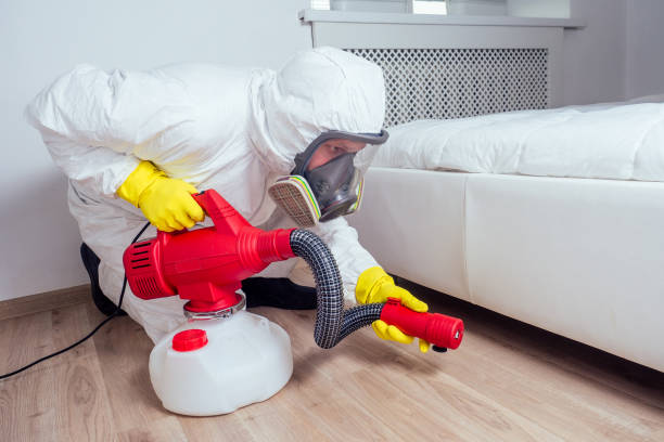 Reliable Washington, IL Pest Control Solutions