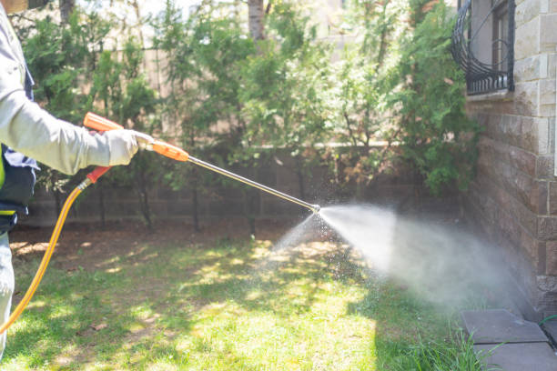 Best Best Pest Control Companies  in Washington, IL