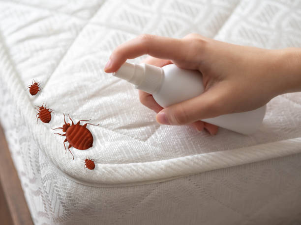 Pest Control for Restaurants in Washington, IL