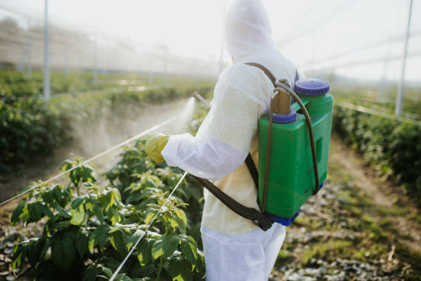 Best Insect Control  in Washington, IL